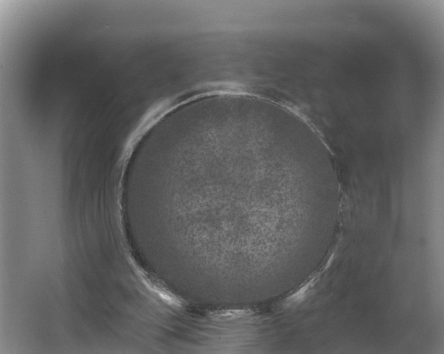 X0000062790151200512261604