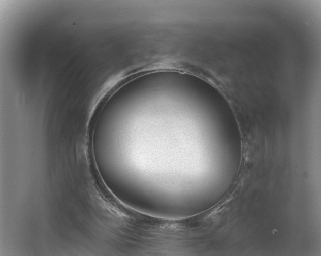 X0000062790152200512261604