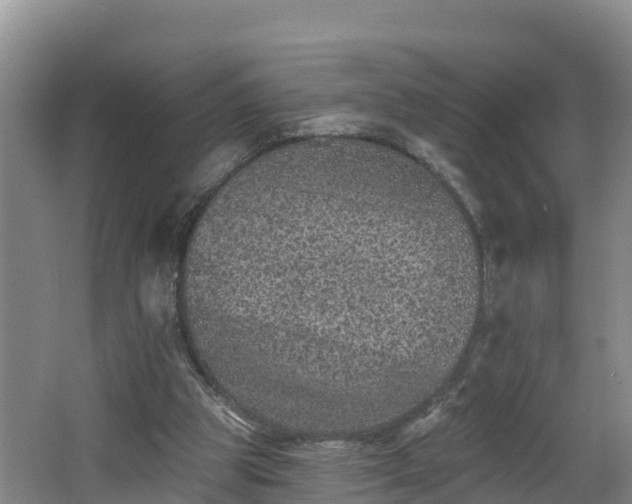 X0000062790153200512261604