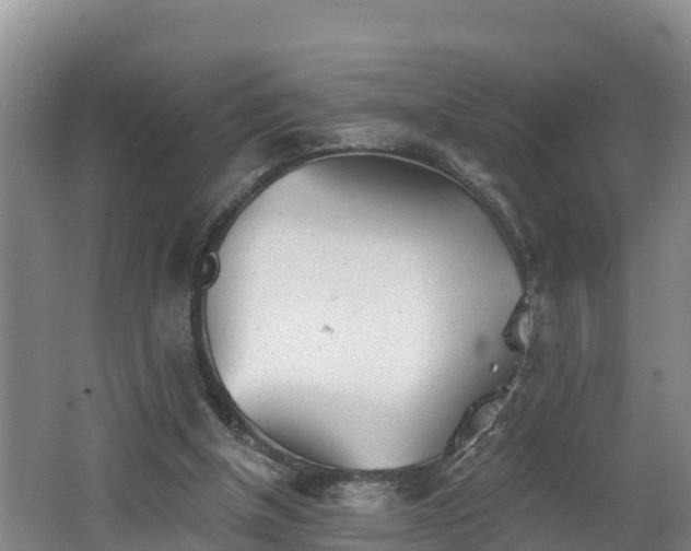 X0000062790154200512261604