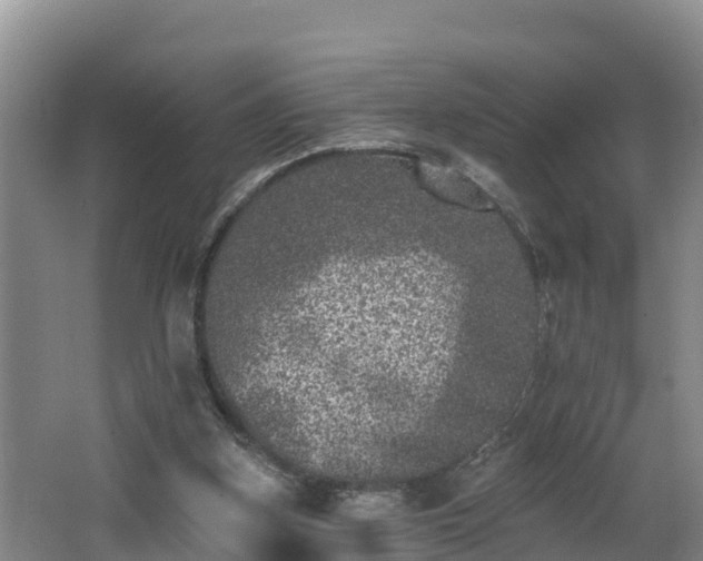 X0000062790155200512261604