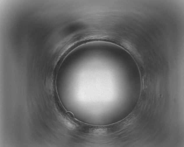 X0000062790156200512261604