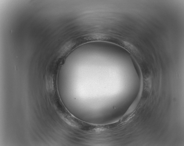 X0000062790158200512261605