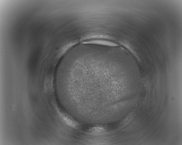 X0000062790159200512261605