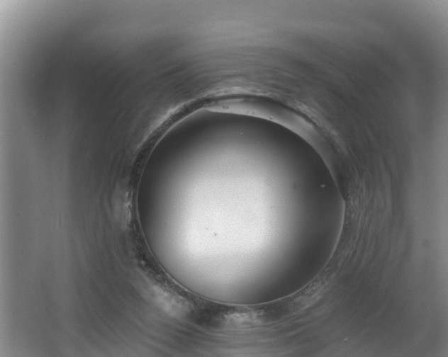 X0000062790160200512261605