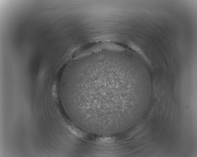 X0000062790161200512261605