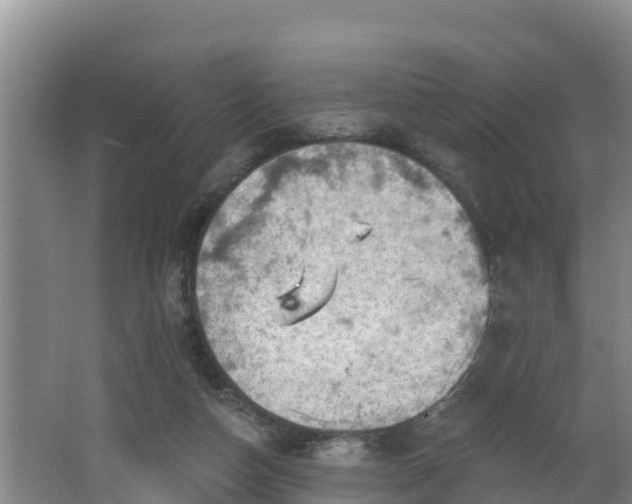 X0000062790162200512261605