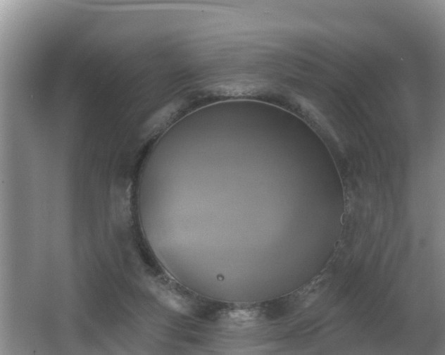 X0000062790163200512261605