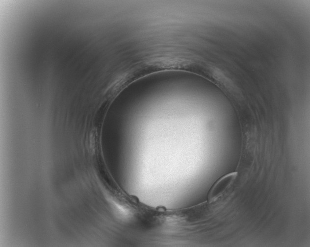 X0000062790165200512261605