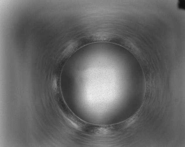 X0000062790166200512261605