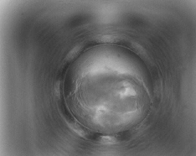 X0000062790167200512261605