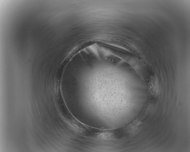 X0000062790168200512261605