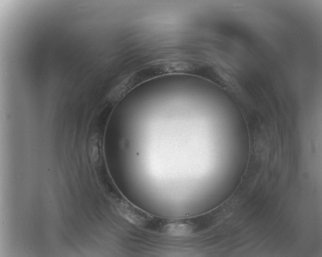 X0000062790169200512261605