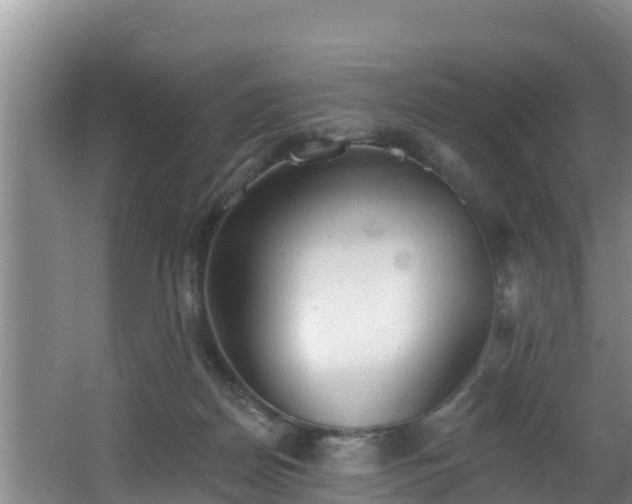 X0000062790170200512261605