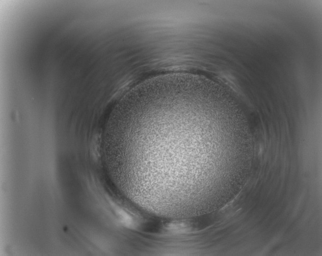 X0000062790171200512261605