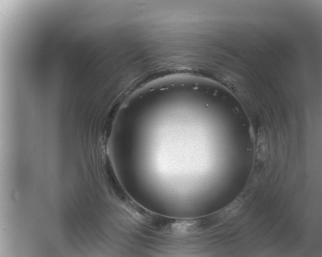 X0000062790172200512261605