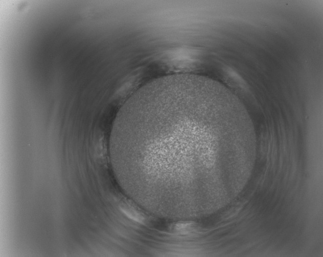 X0000062790173200512261605