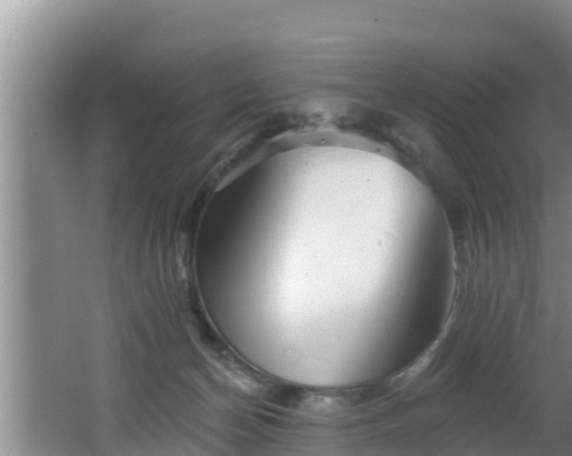 X0000062790174200512261605