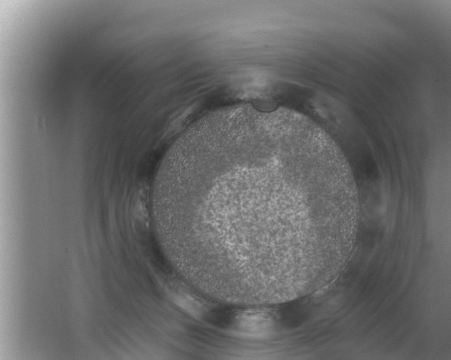 X0000062790175200512261605