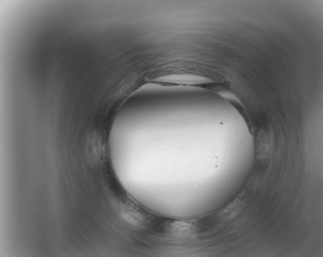 X0000062790176200512261605