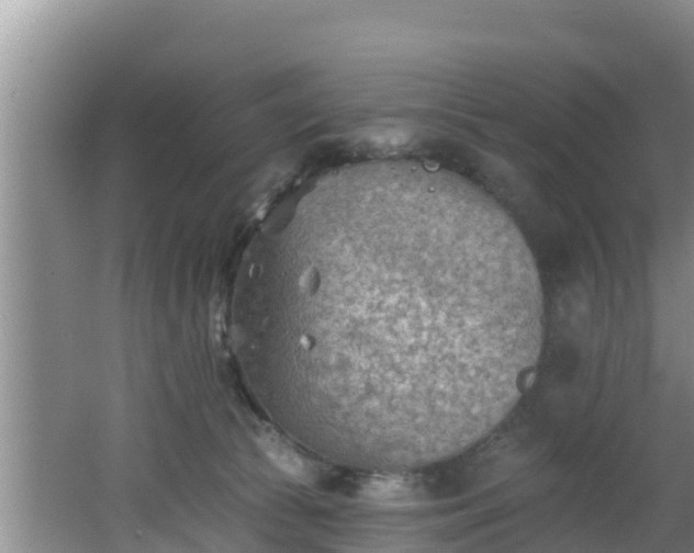 X0000062790177200512261605