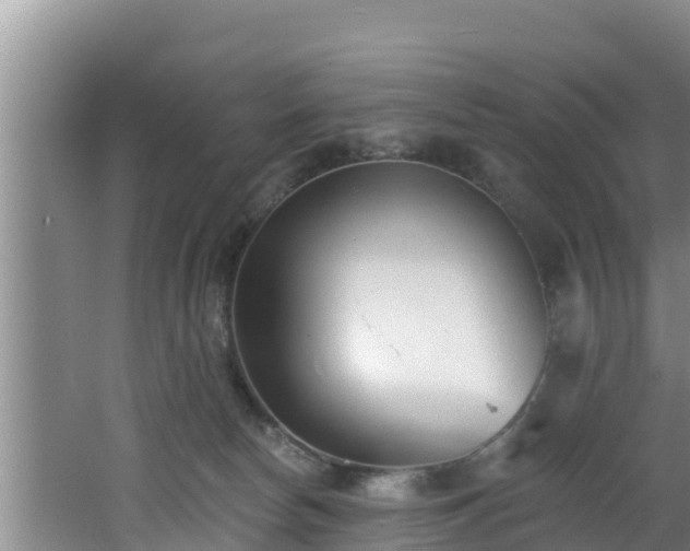 X0000062790178200512261605