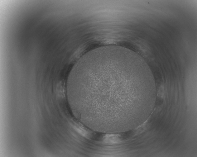 X0000062790179200512261605