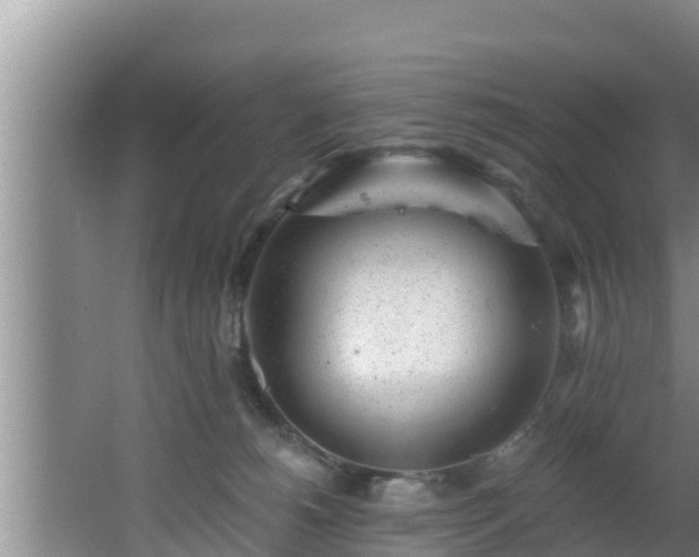 X0000062790180200512261605