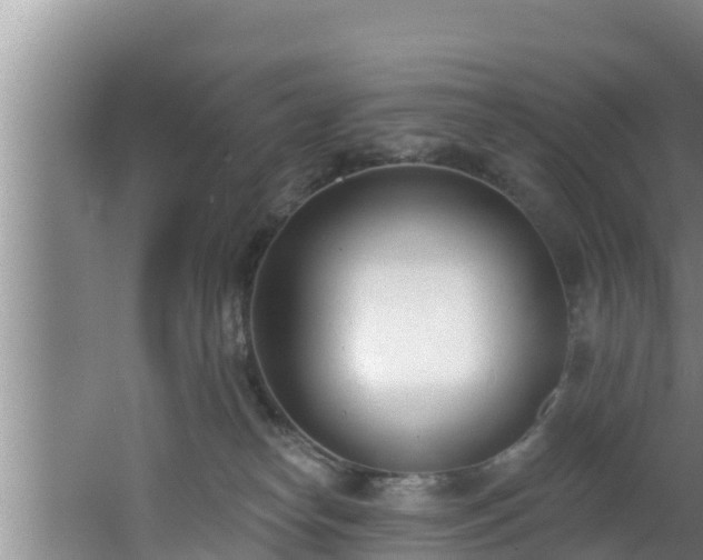 X0000062790182200512261605