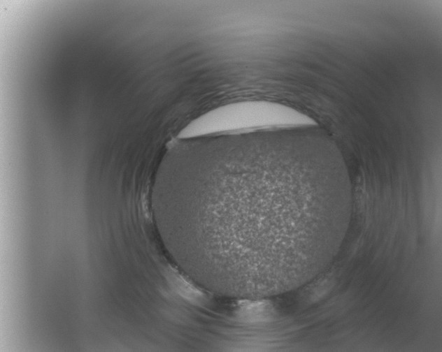 X0000062790185200512261605