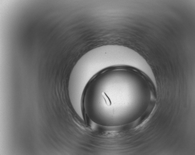 X0000062790186200512261605