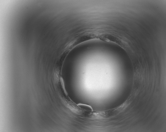 X0000062790188200512261605