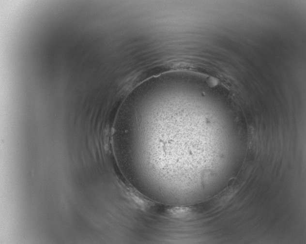 X0000062790189200512261605