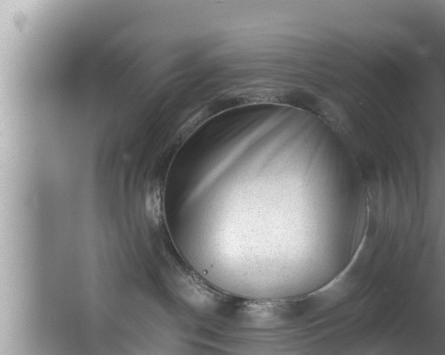 X0000062790190200512261605