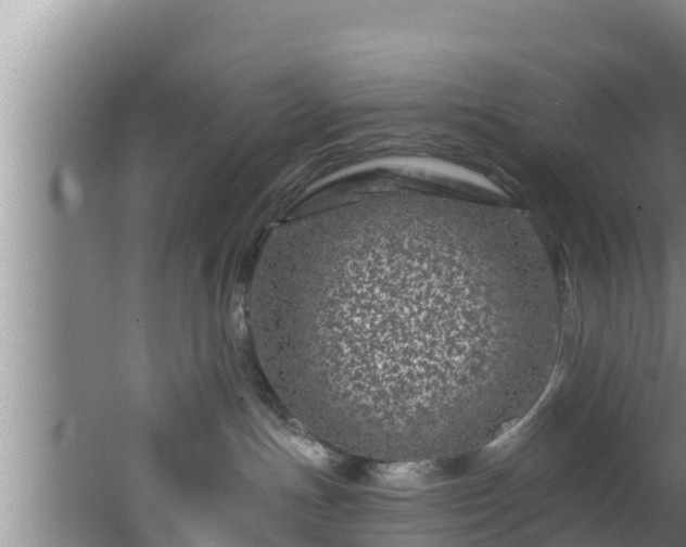 X0000062790191200512261605