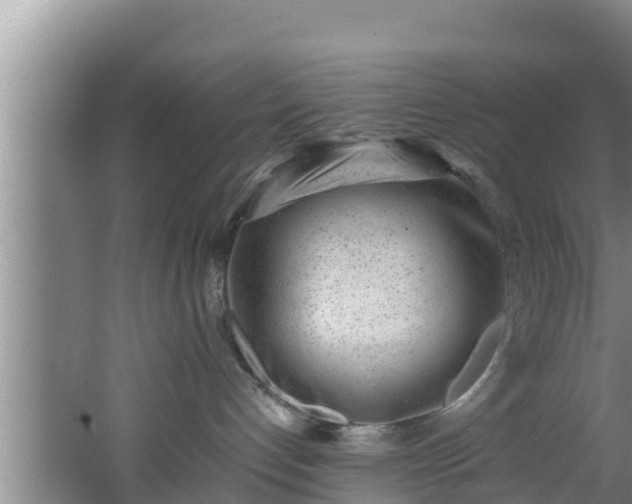 X0000062790192200512261605