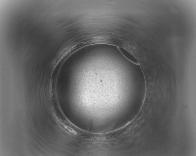 X0000062790194200512261604