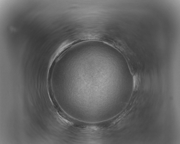 X0000062790195200512261604