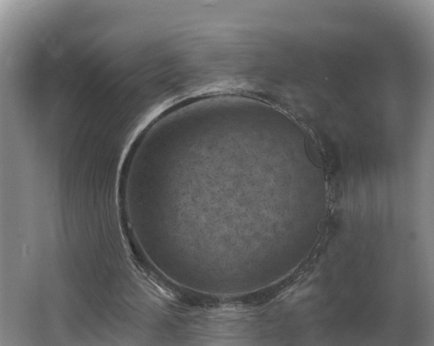 X0000062790196200512261604