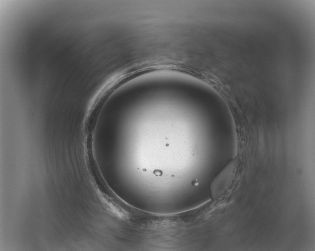 X0000062790197200512261604