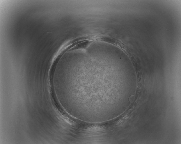 X0000062790198200512261604