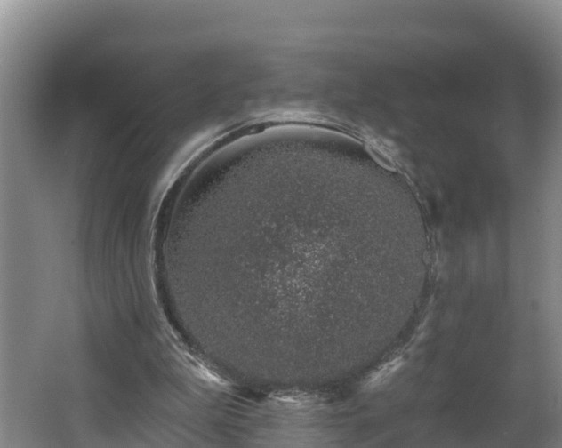 X0000062790199200512261604