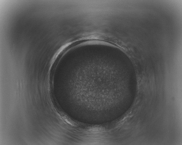 X0000062790200200512261604