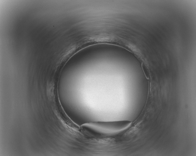 X0000062790201200512261604