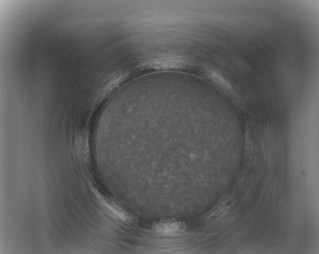 X0000062790202200512261604