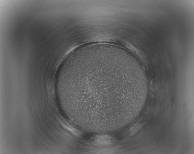 X0000062790203200512261604