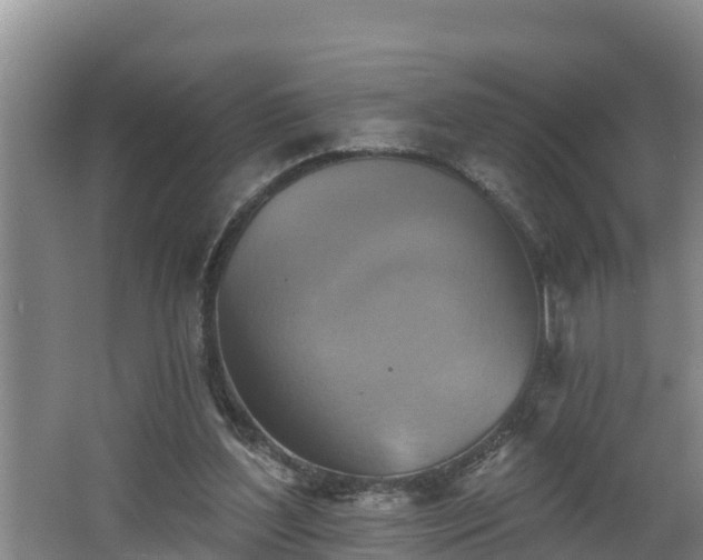 X0000062790204200512261604