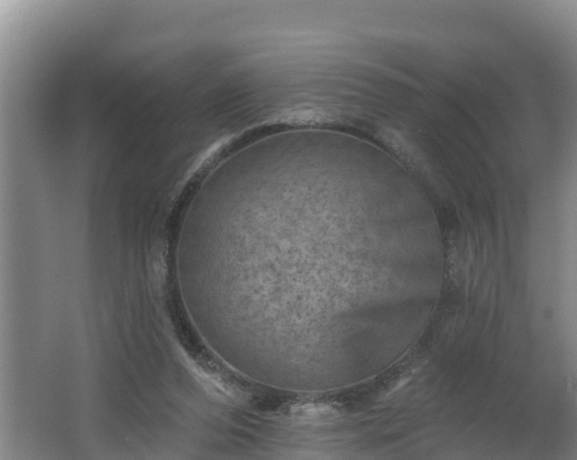 X0000062790208200512261604