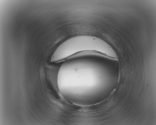 X0000062790211200512261604