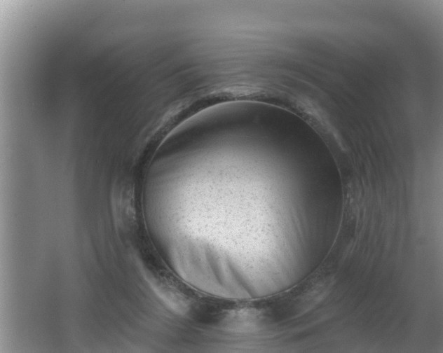 X0000062790212200512261604